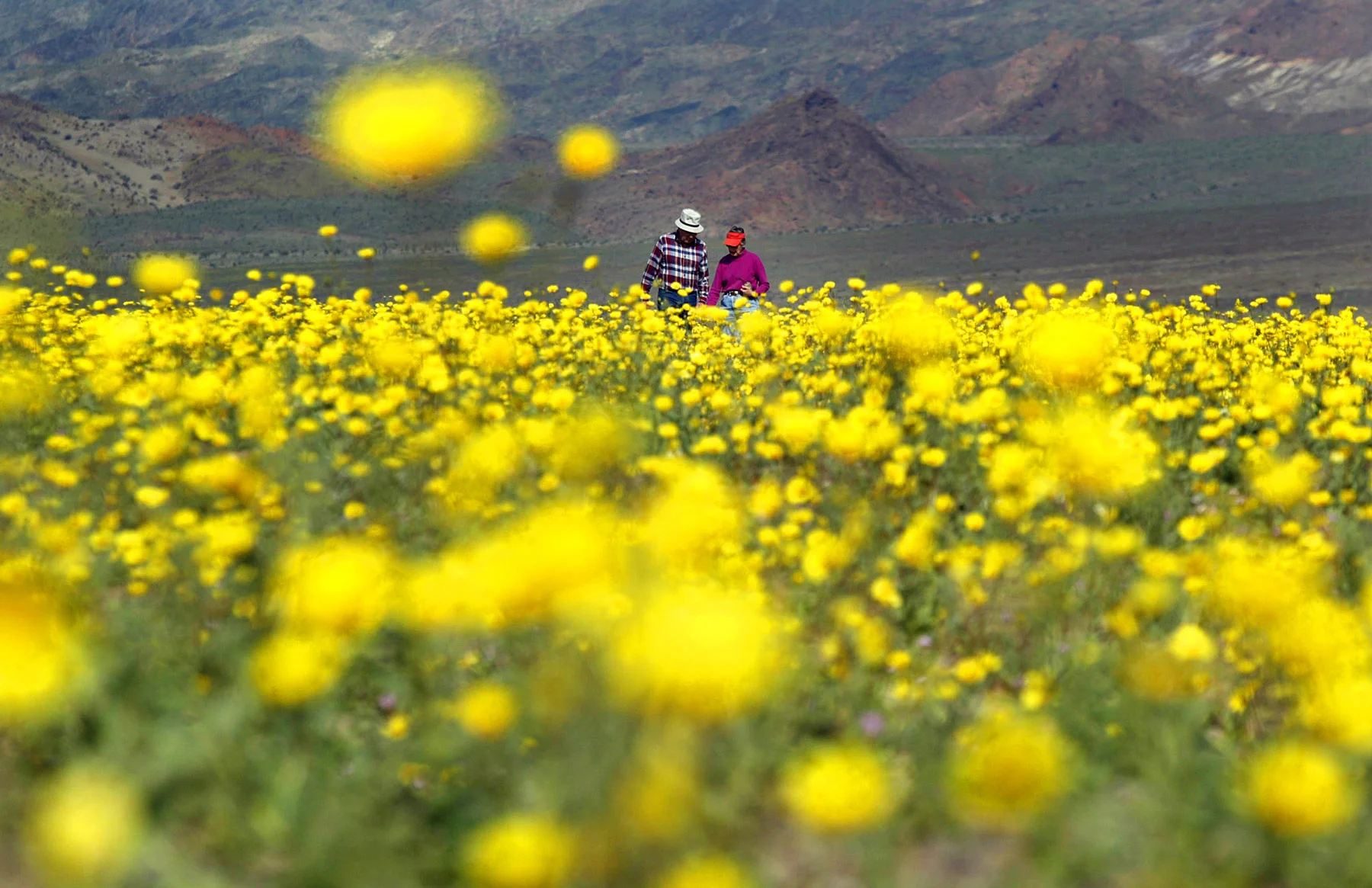 Death Valley 