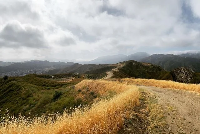 June trailing 🏃🏻‍♂️