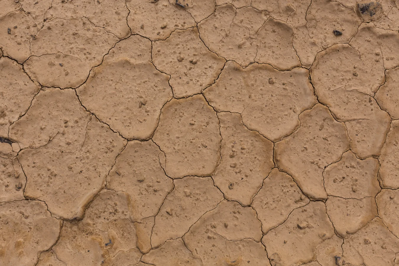Very dry riverbed