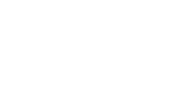 P53