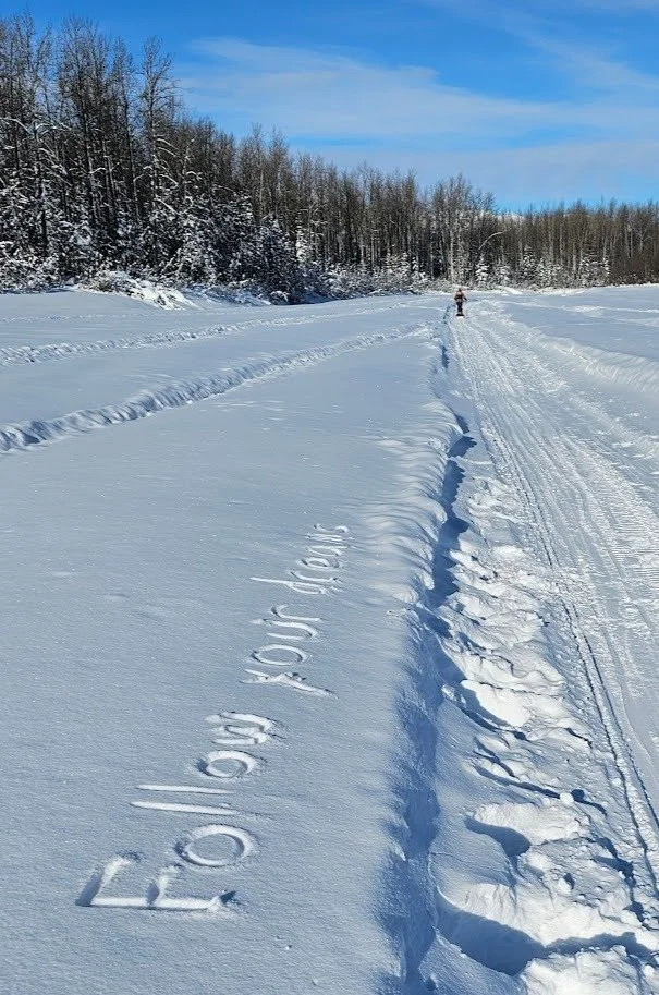 Day 11: “Sweet dreams are made of this”