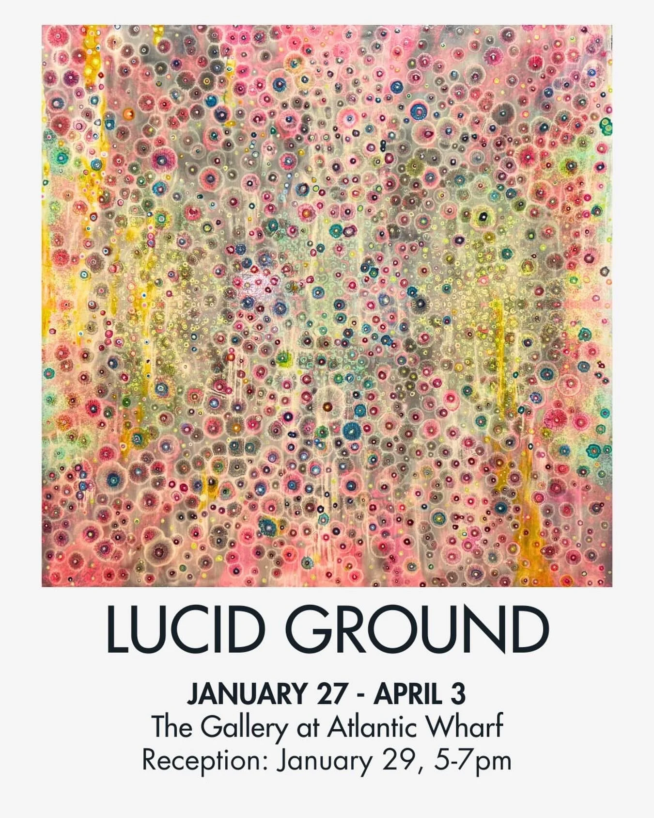Unknown Species no.376 | Laura Gurton

Lucid Ground will be opening January 27 at The Gallery at Atlantic Wharf!

This new exhibition has been brought to us by the Pell Lucy Artist Collective.

For years the Pell Lucy Collective has explored how non-