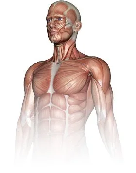 Regenexx Overview - Dr. Dan Williams, DO