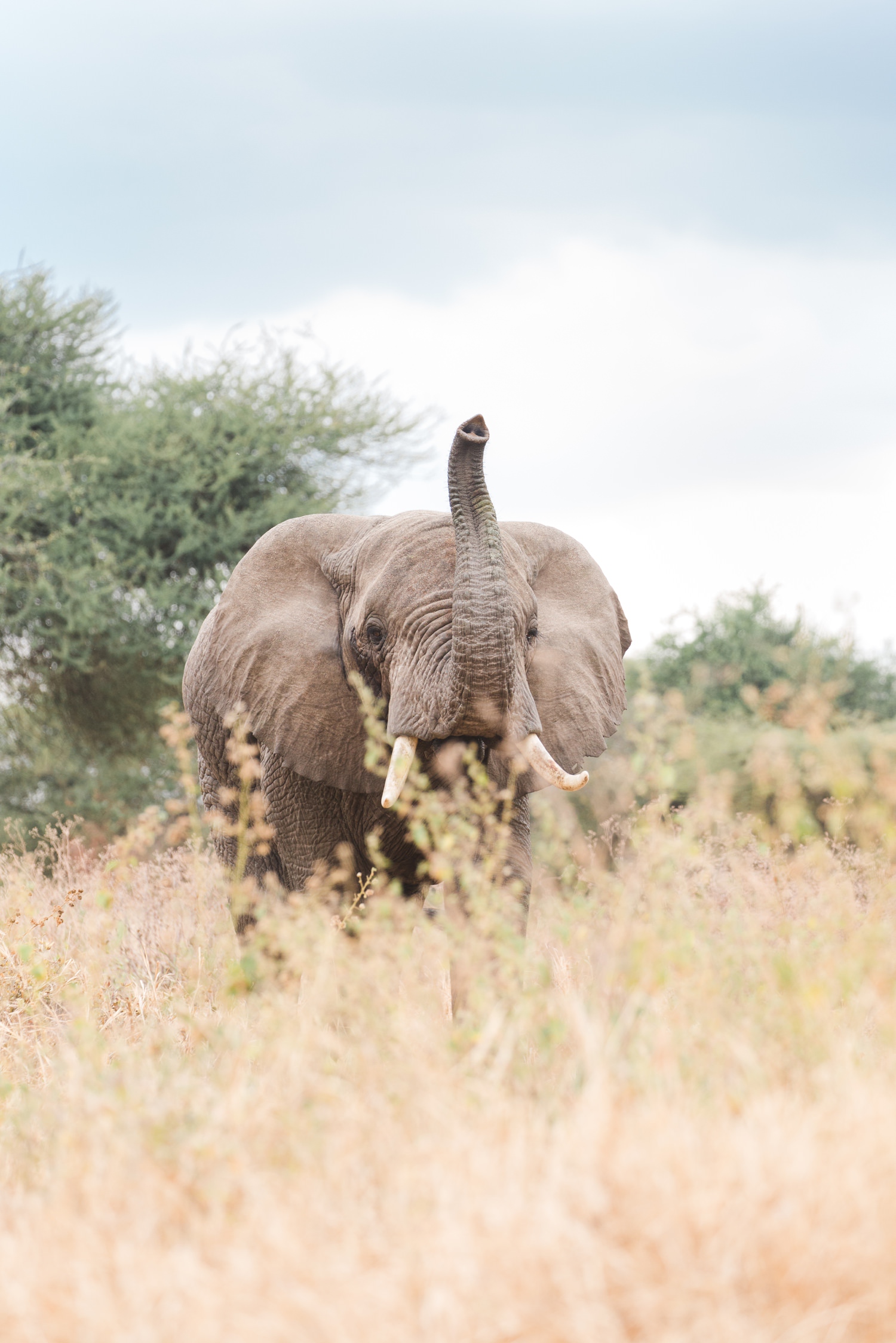 cameron-zegers-photography-tanzania.jpg