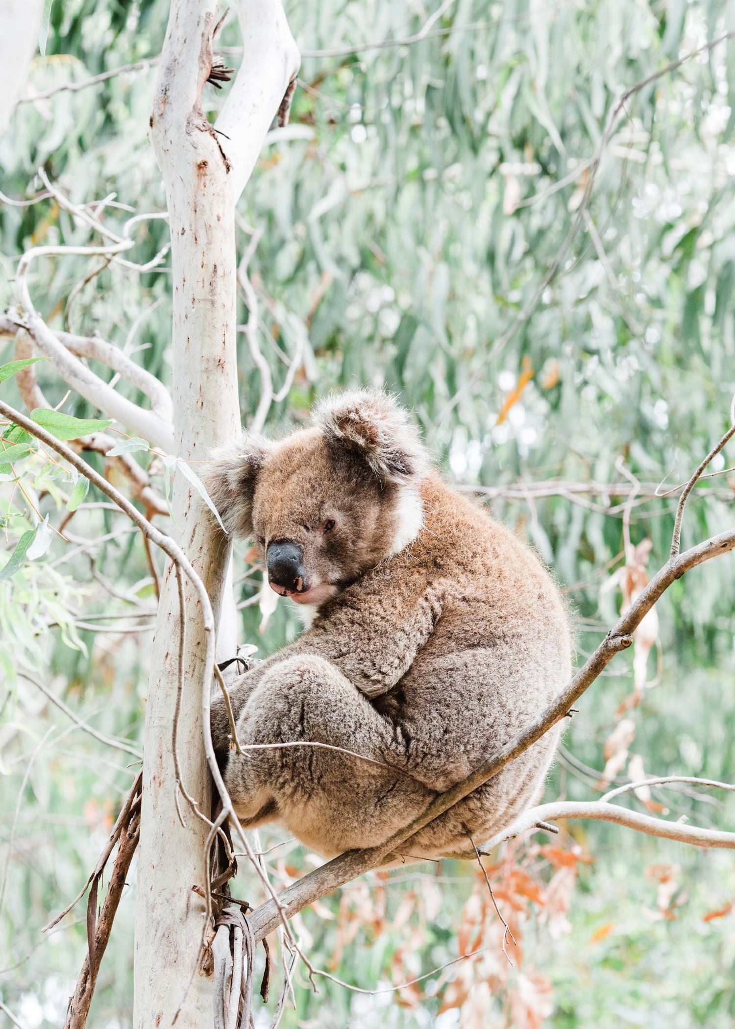 cameron-zegers-editorial-travel-photographer-australia-17.jpg