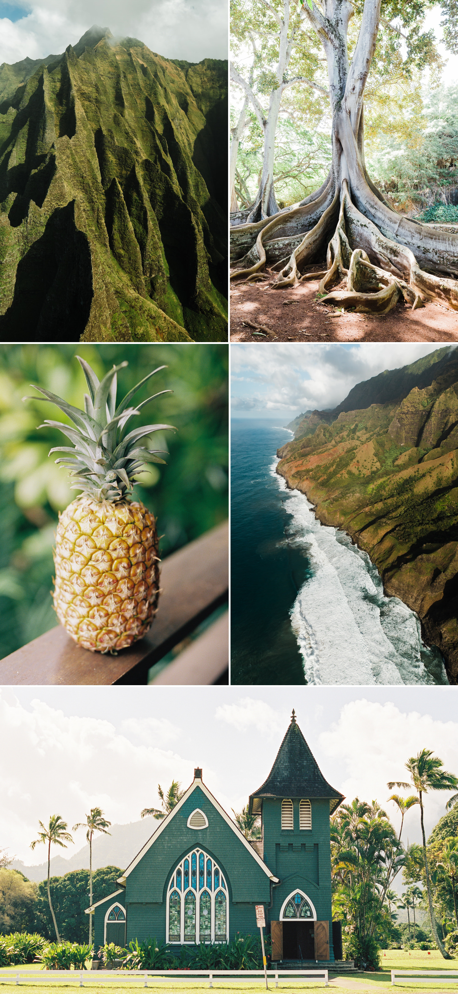 cameron-zegers-photography-travel-hawaii-kauai-5.jpg