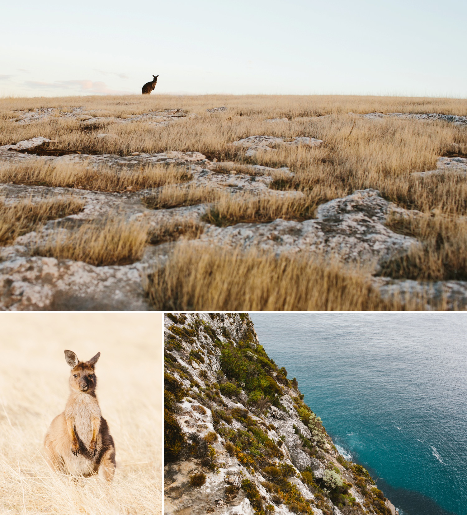 cameron-zegers-seattle-photographer-kangaroo-island-australia-travel_0001.jpg