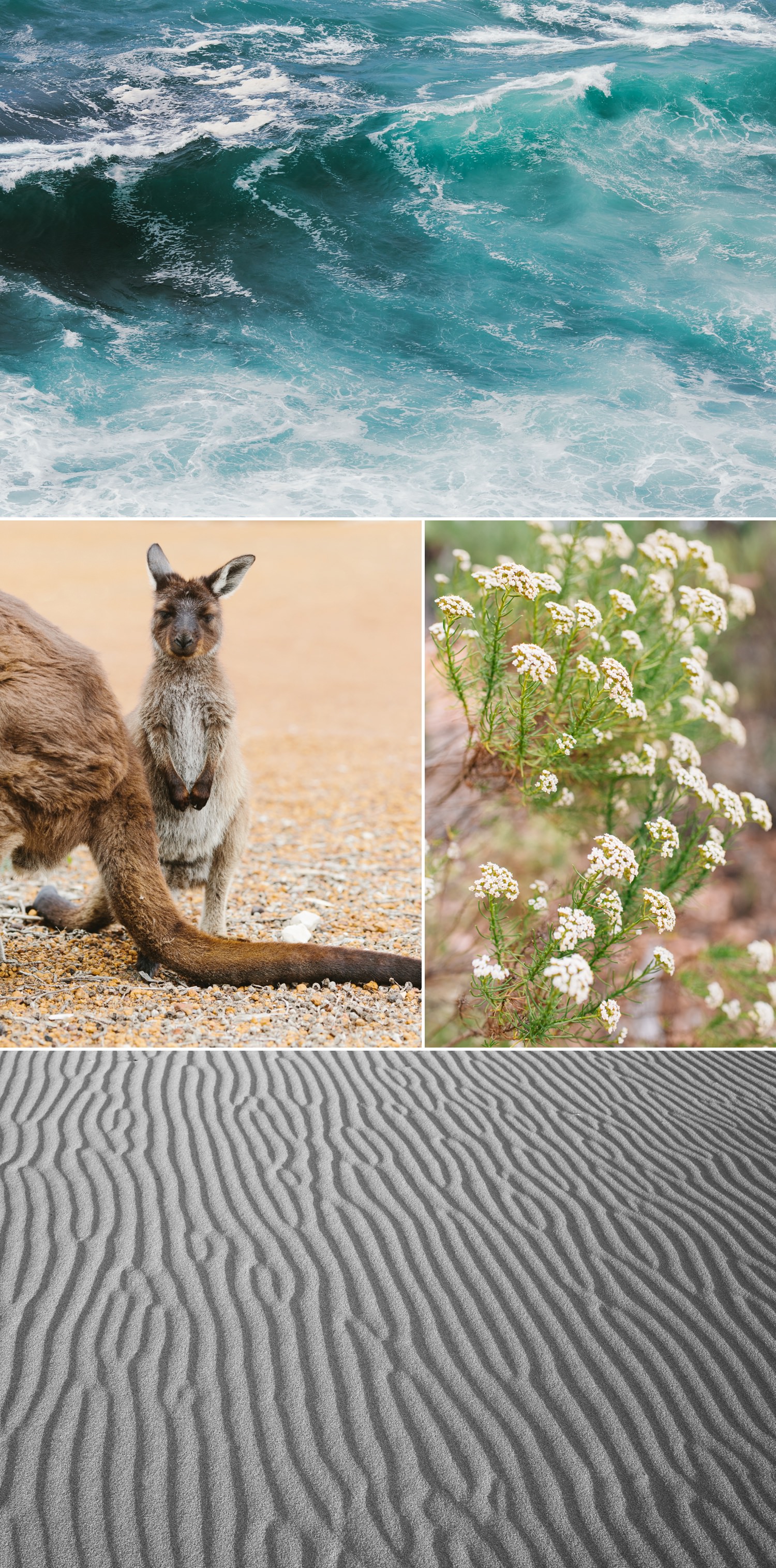 cameron-zegers-seattle-photographer-kangaroo-island-australia-travel_0011.jpg