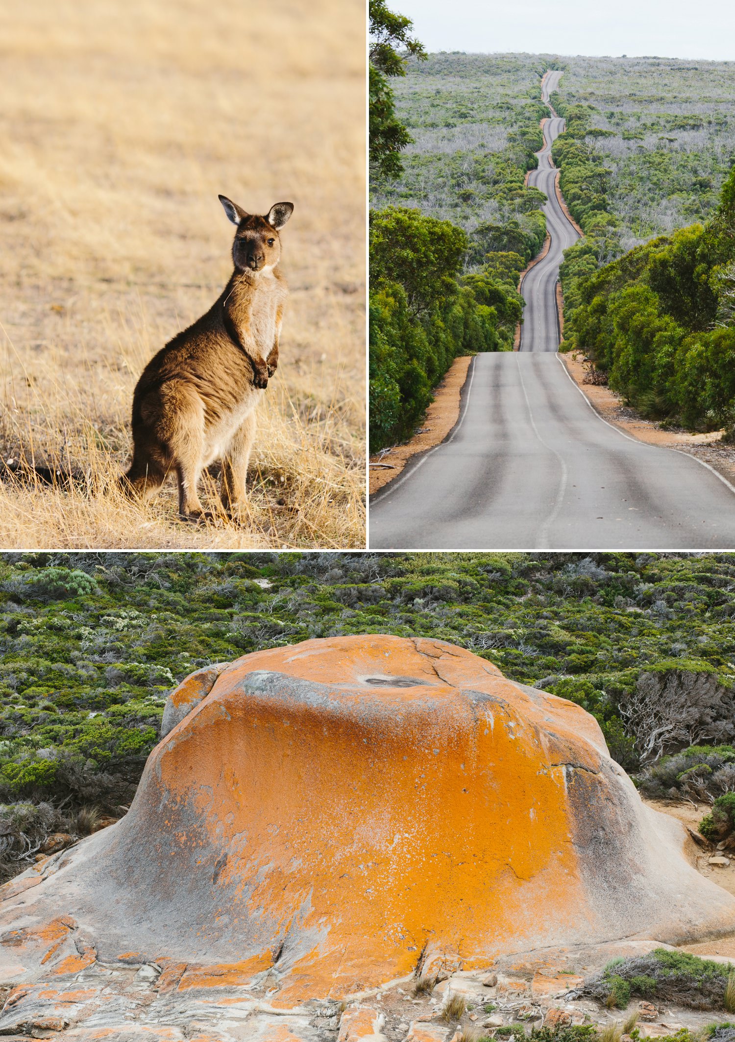 cameron-zegers-seattle-photographer-kangaroo-island-australia-travel_0017.jpg