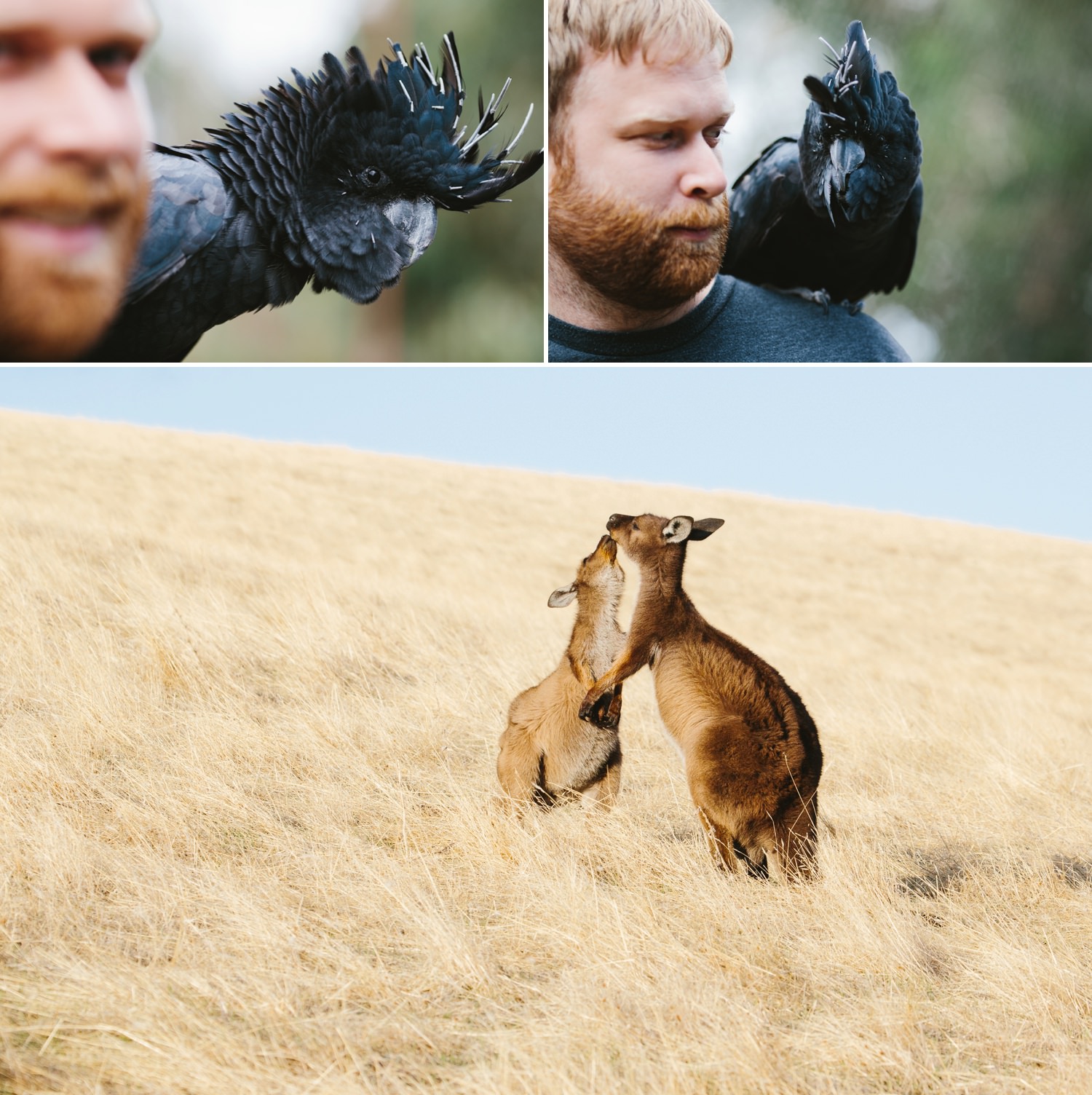 cameron-zegers-seattle-photographer-kangaroo-island-australia-travel_0021.jpg