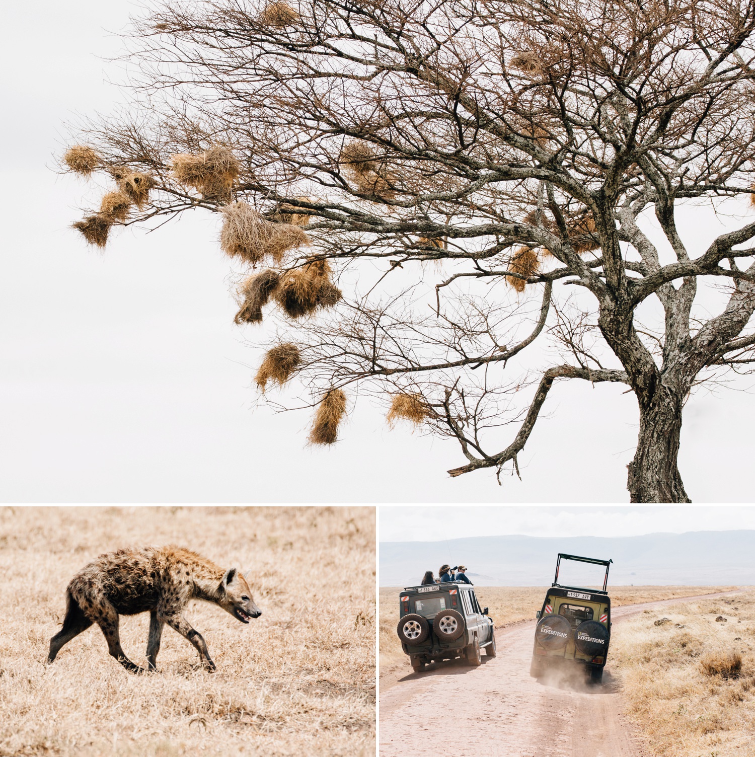 cameron-zegers-photographer-seattle-travel-national-geographic-student-expeditions-tanzania_0048.jpg