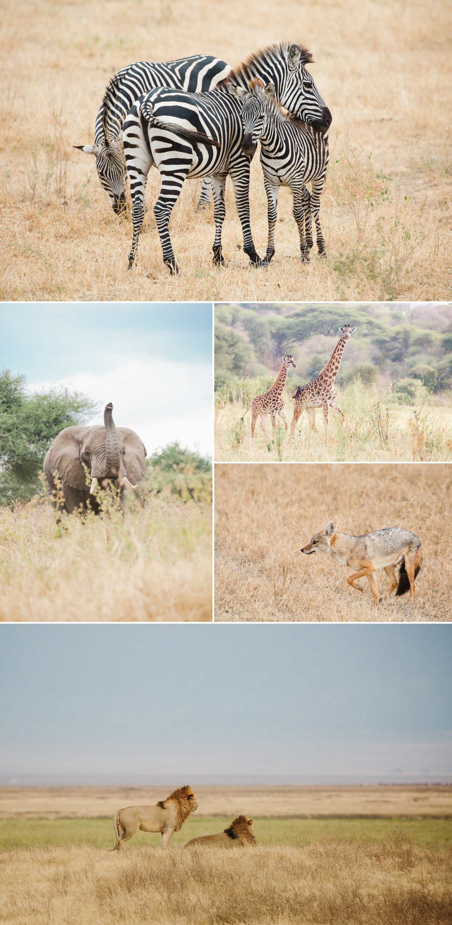 cameron-zegers-photography-travel-tanzania-national-geographic-seattle-5.jpg