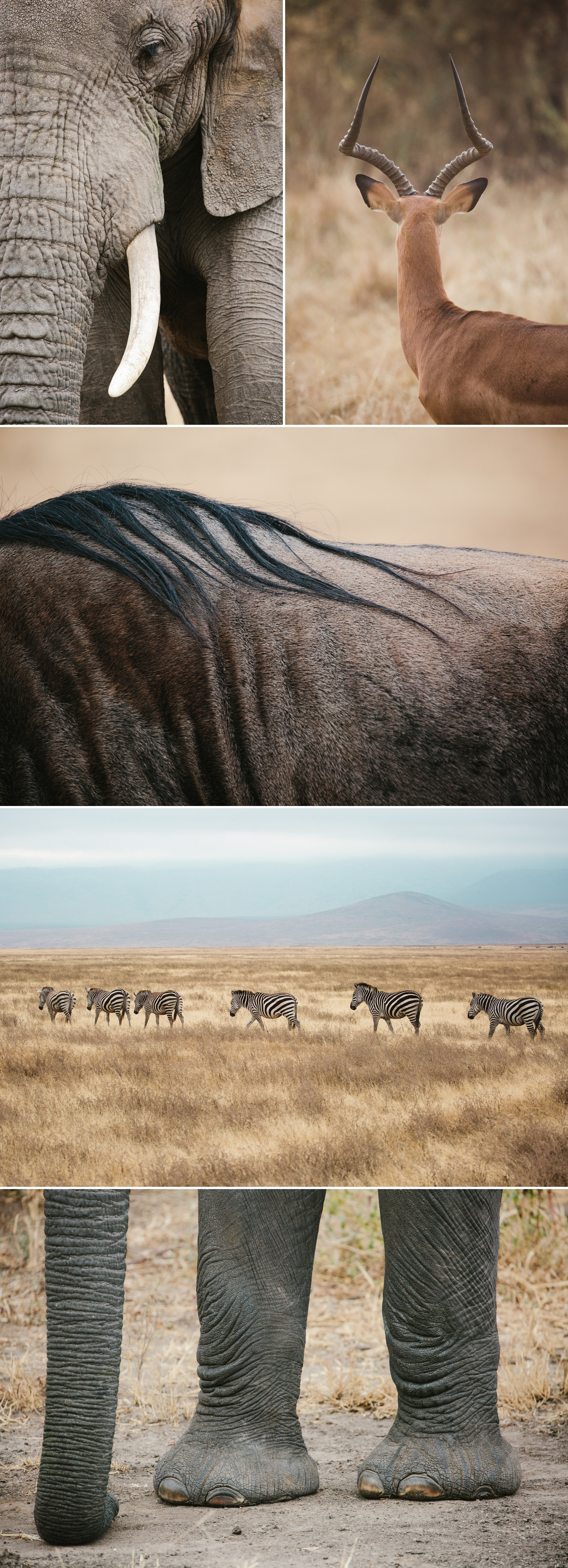 cameron-zegers-photography-travel-tanzania-national-geographic-seattle-9.jpg