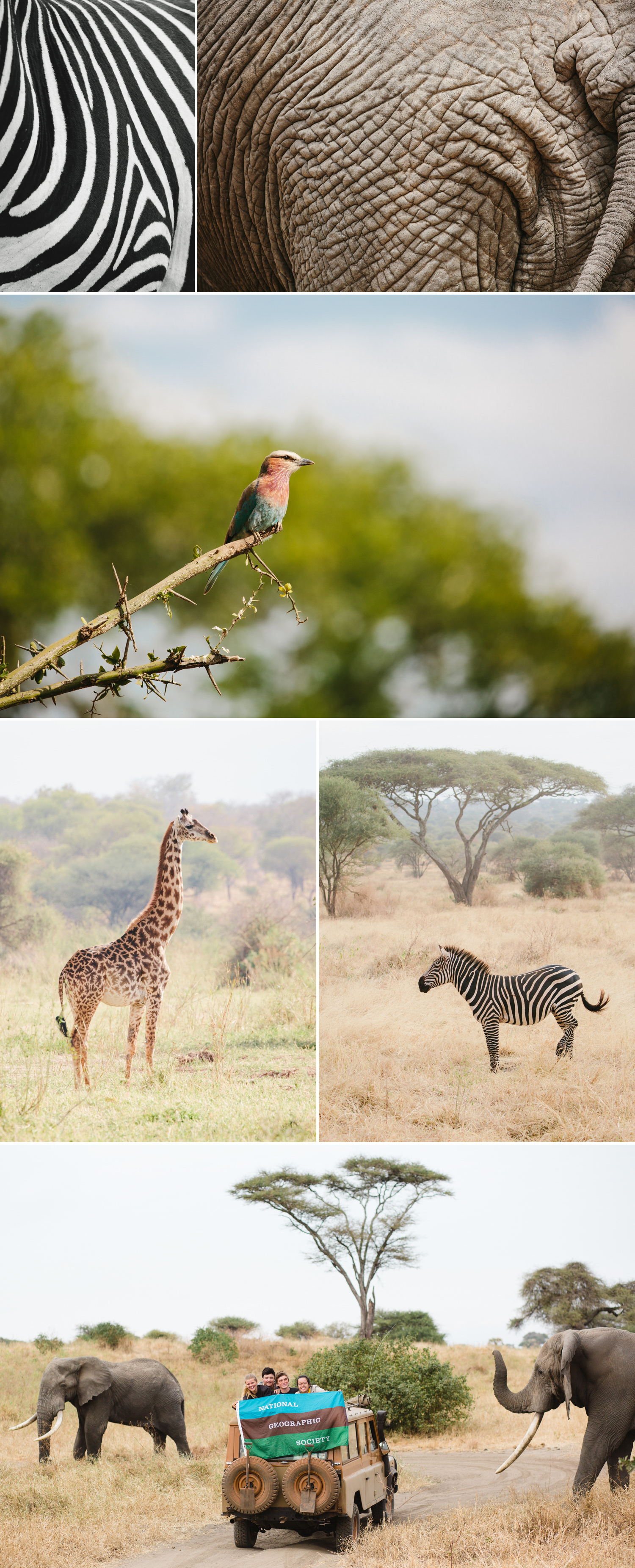 cameron-zegers-photography-travel-tanzania-national-geographic-seattle-17.jpg