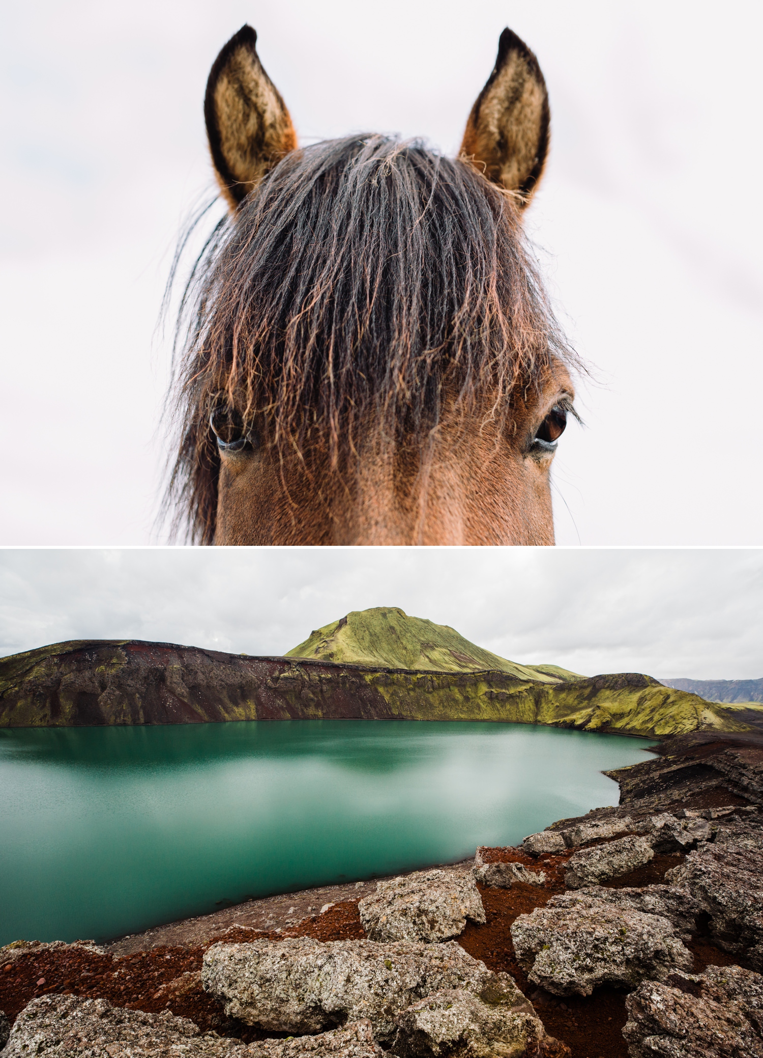 3-icelandic-horse-landmannalauger.jpg