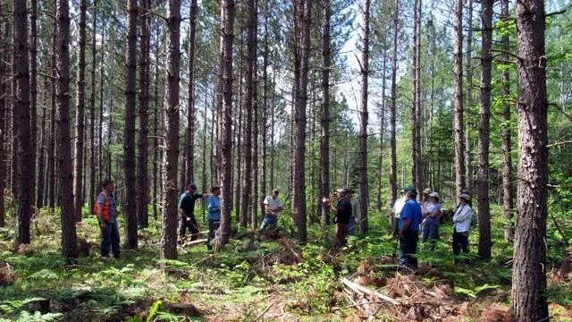 Group%2Battending%2Ba%2BPartners%2Bin%2BForestry%2Band%2BUW%2BCenter%2Bfor%2BCooperatives%2Bworkshop%2Bview%2Bthe%2Bthinned%2Bstand.jpg