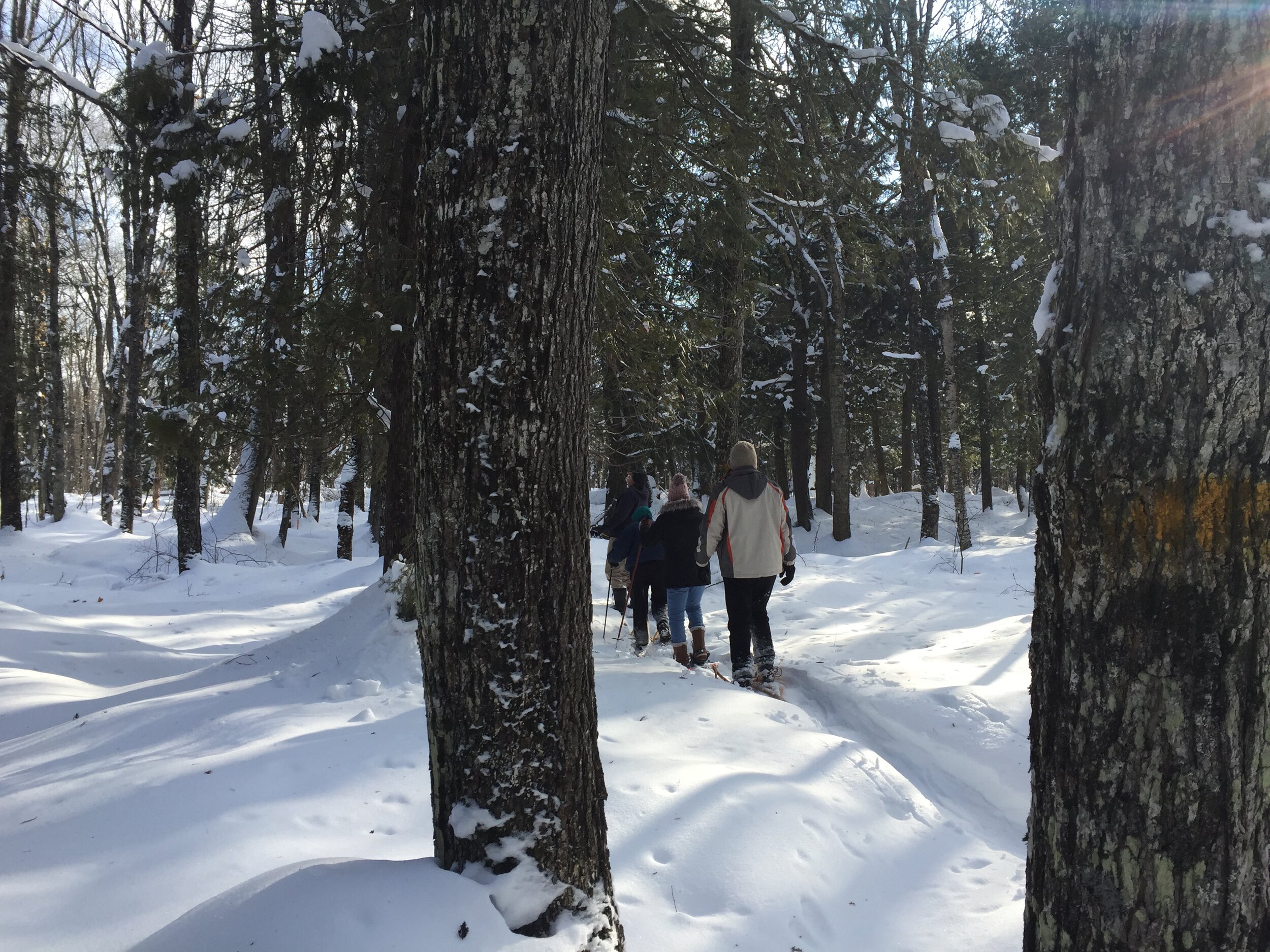 Snowshoe trail is now well packed