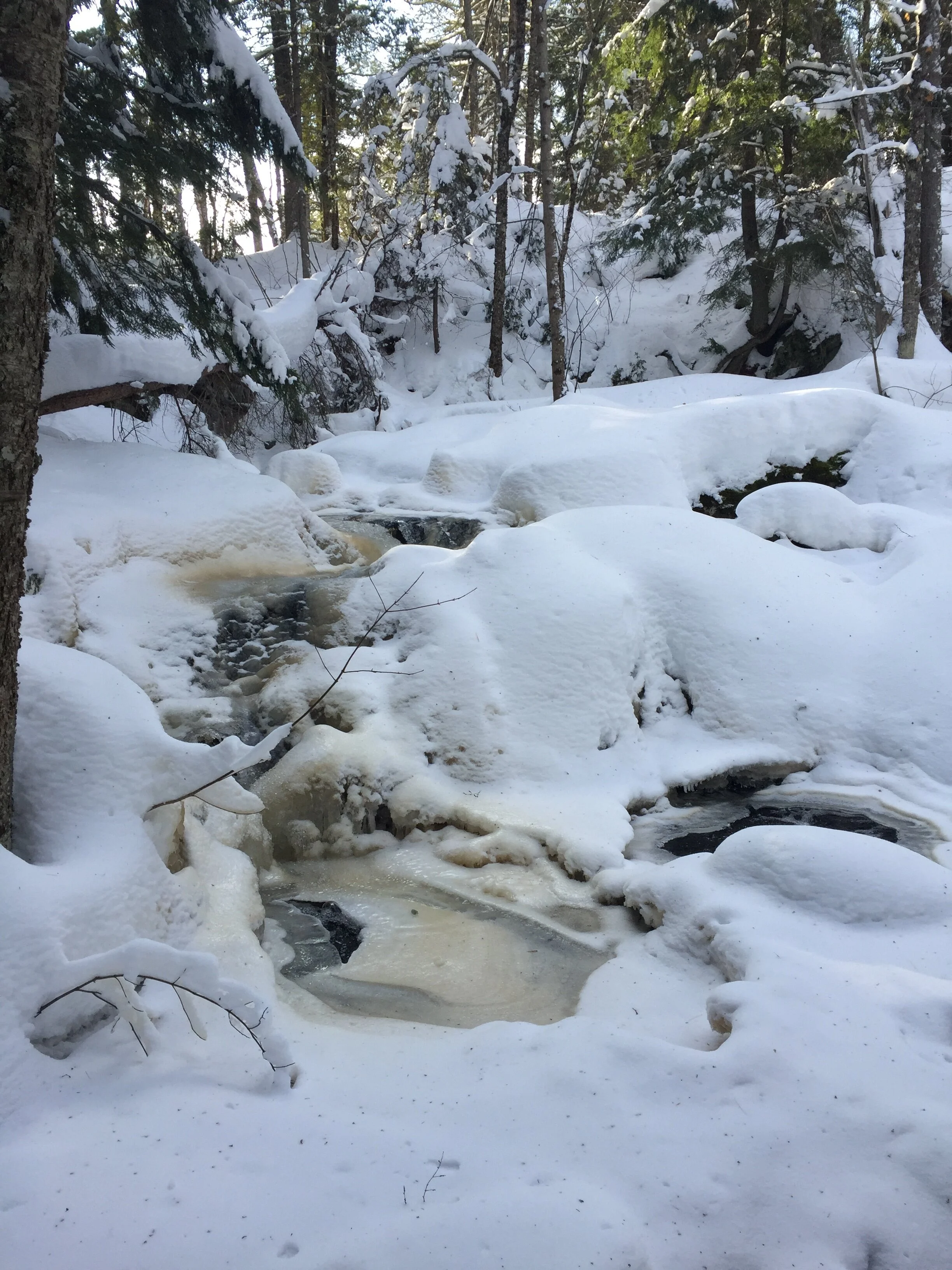 Self-guided snowshoe hike