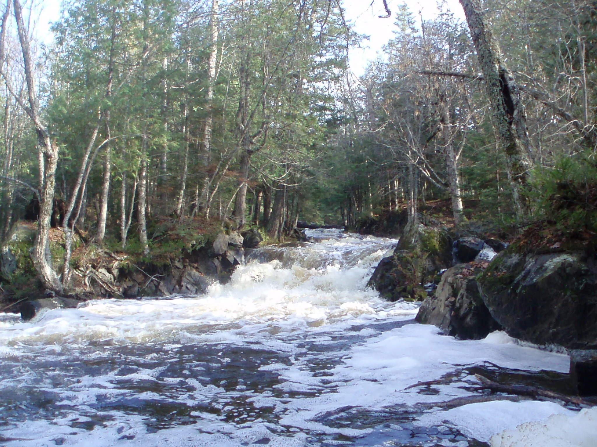 PA070926.JPG
