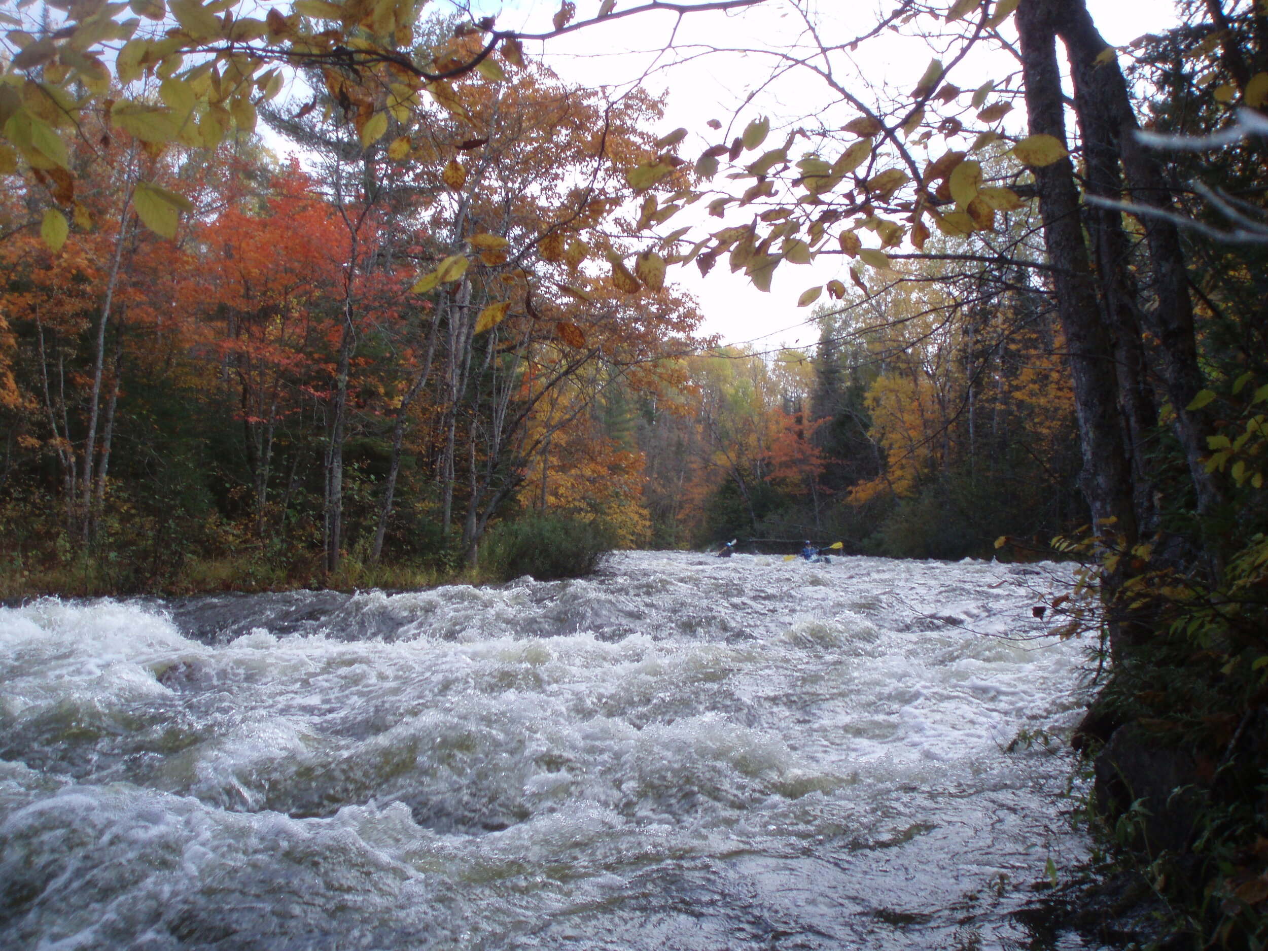  In  the falls of 2007-2010, a small group of PIF and NWA members would gather and paddle some of the Wild and Scenic rivers in the Ottawa. The West Branch below Lake Gogebic and the Cisco branch below the inlet with the Tenderfoot Creek and through 