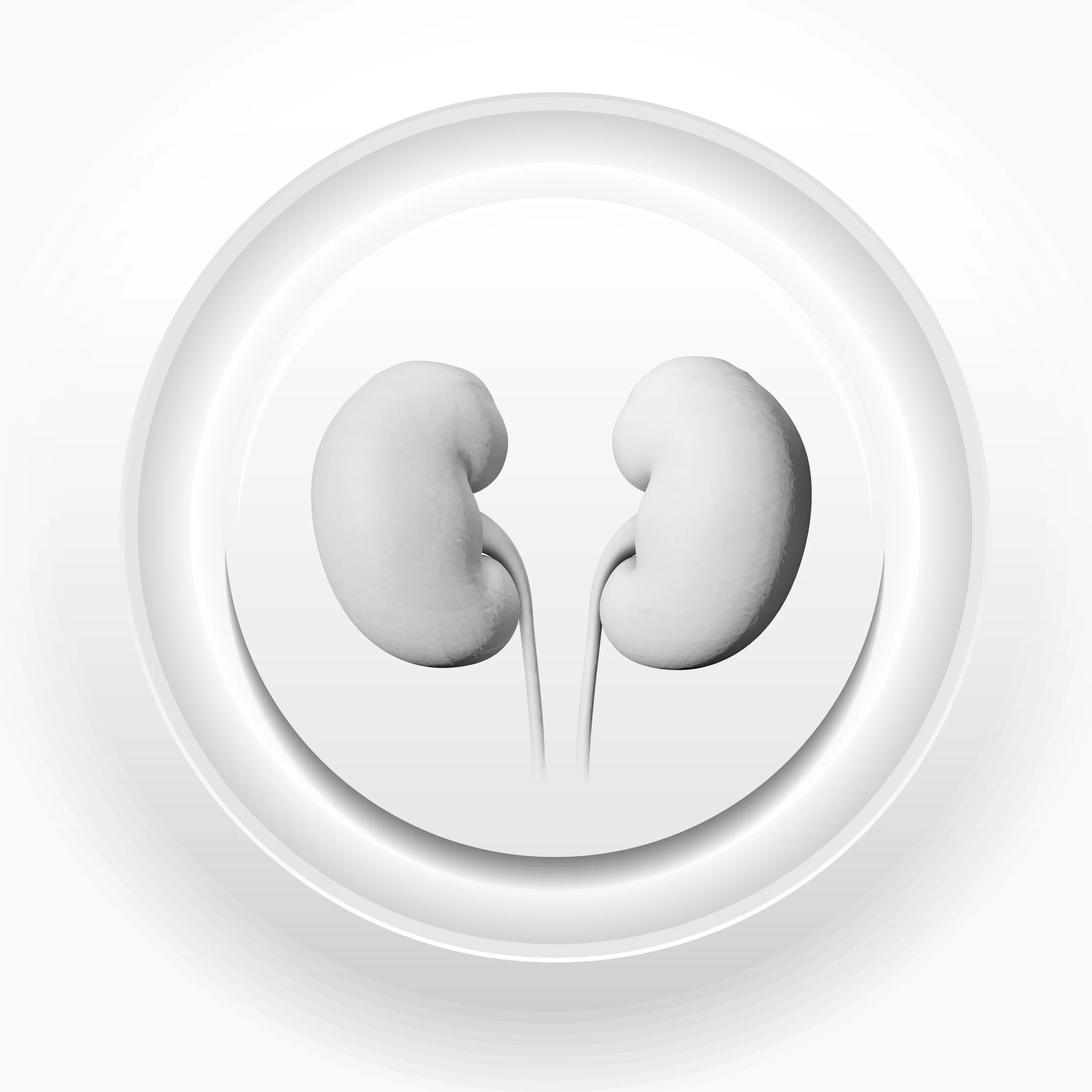 SGLT2 Cling White 3d v.1.1.jpg