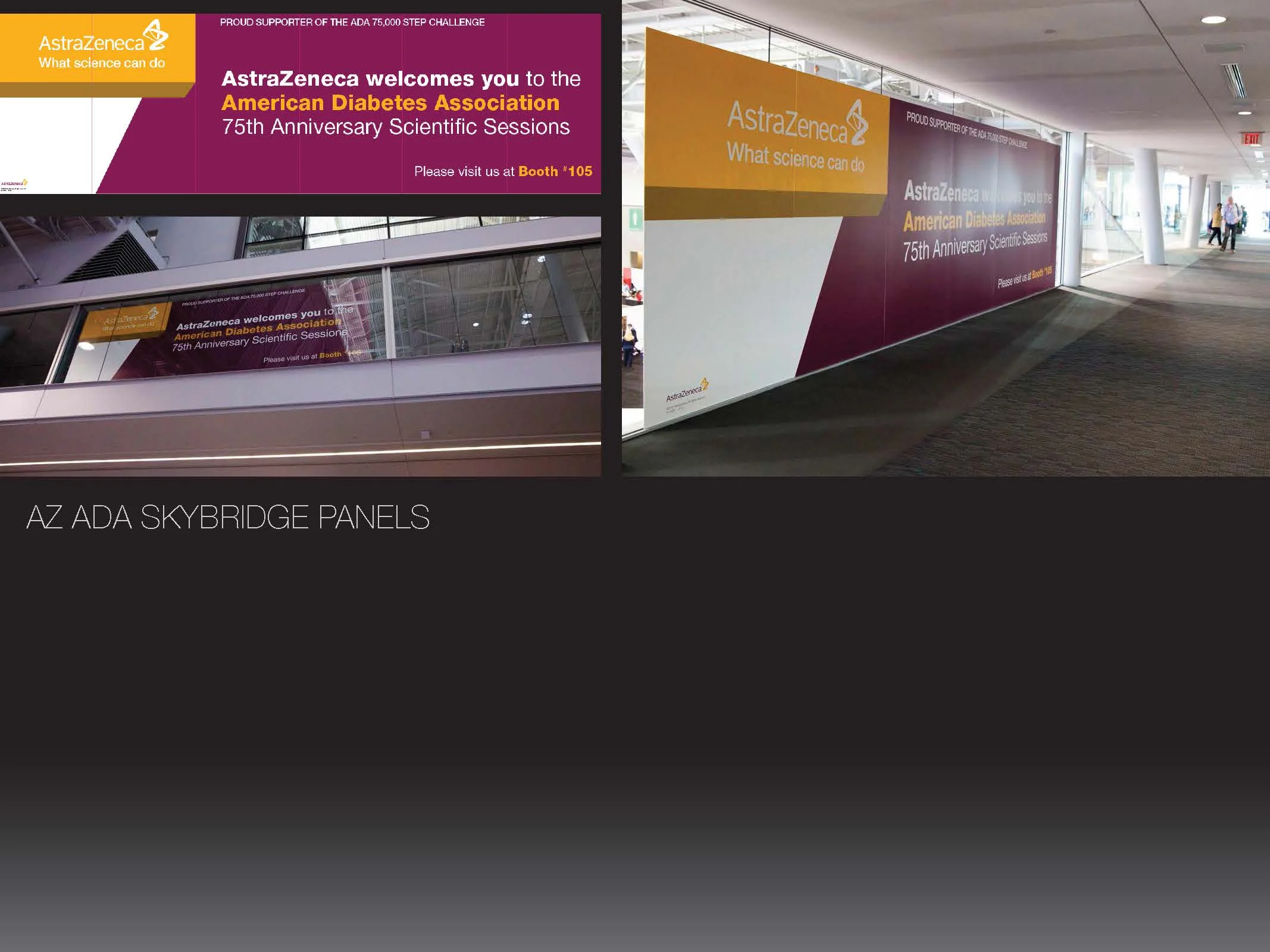 AZ ADA_Creative Meeting_AD2_Page_17.jpg