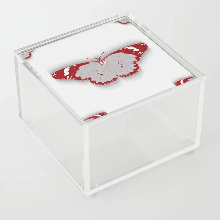 Acrylic Box