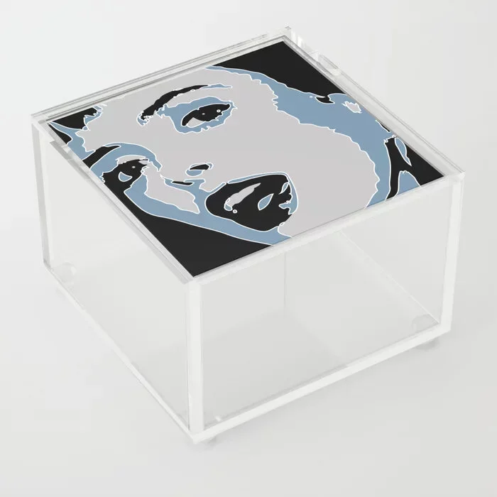 Acrylic Box