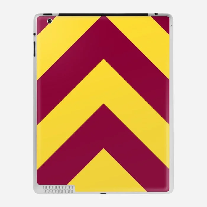 iPad Skin