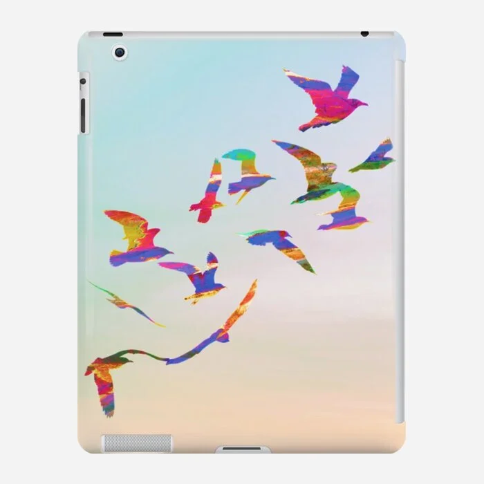 iPad Case