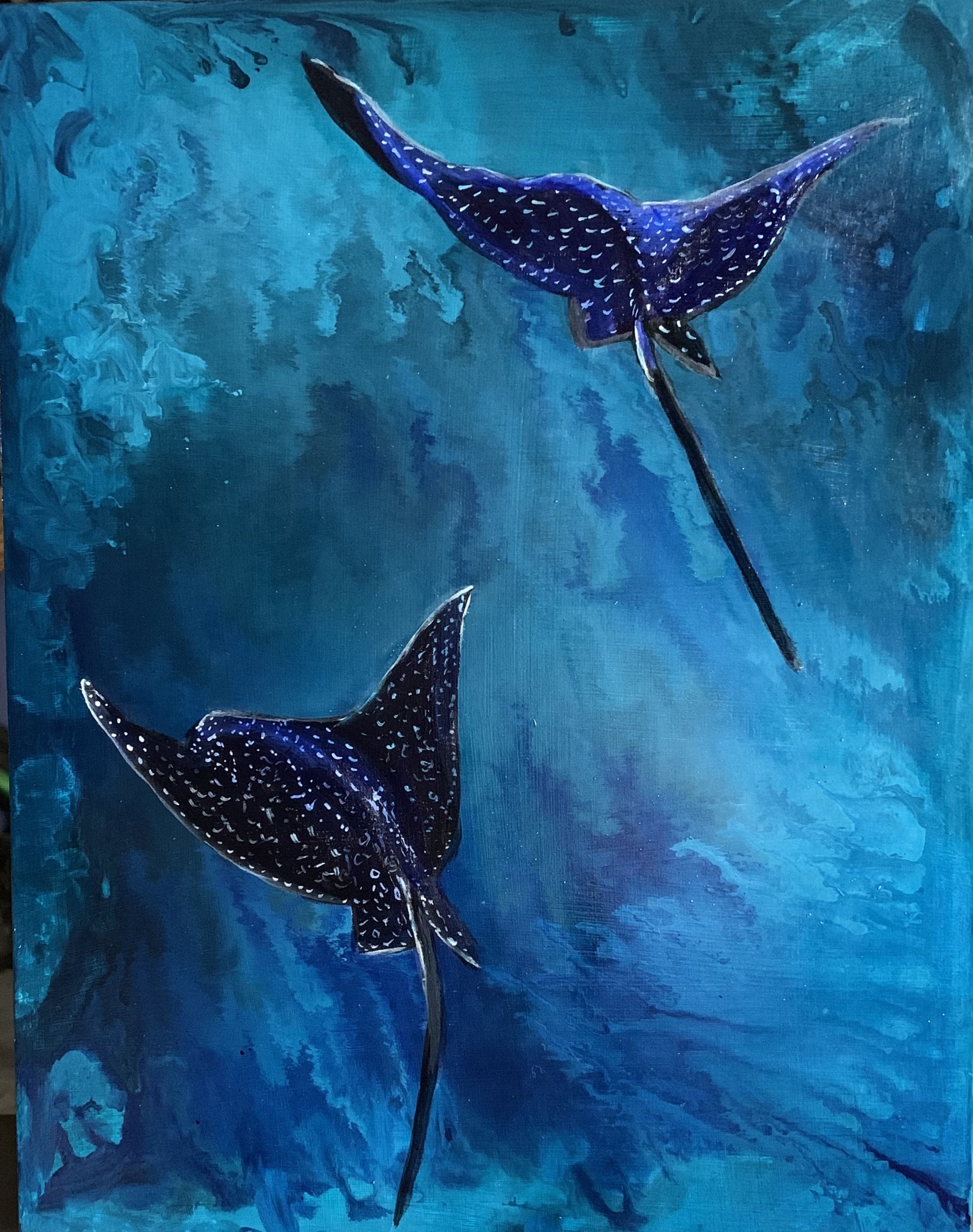 Spotted Eagle Rays.jpg