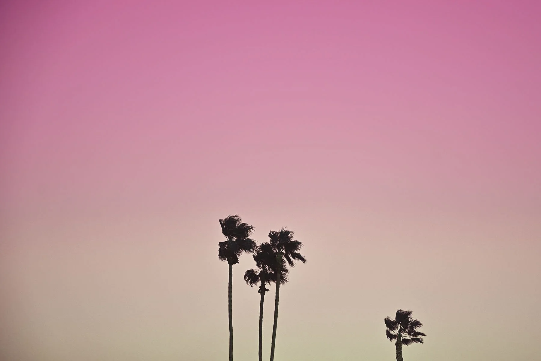 Pre Basel - new - Orange Pink WEB RGB.jpg