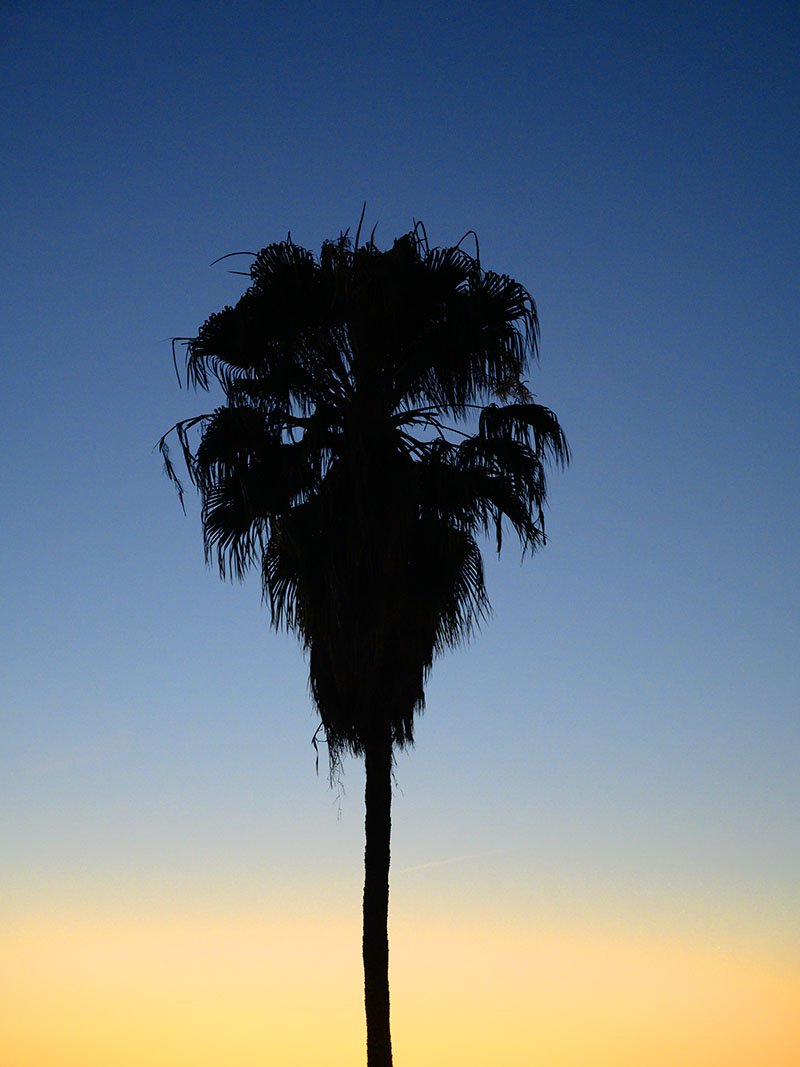 Art Expo - Blu - WEB.JPG