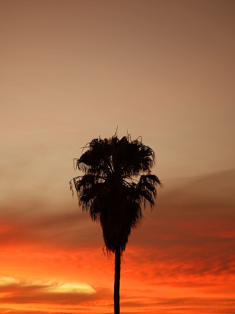 Art Expo-Orange-WEB.JPG