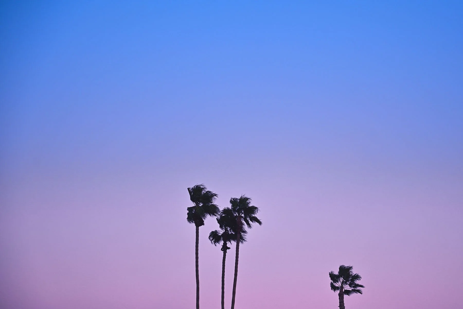 Pre Basel - new - blue purle pink 3-WEB  copy.jpg
