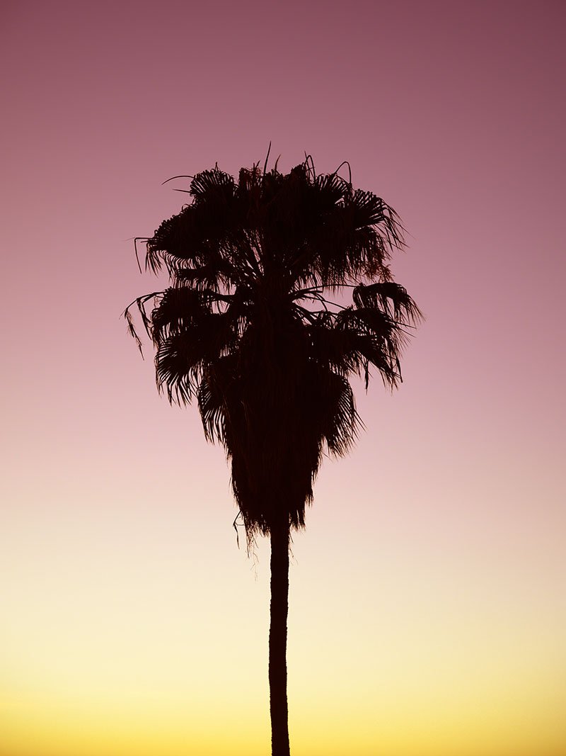 Art Expo - Pink and Yellow-WEB.jpg