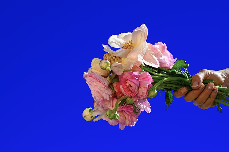 Flores para ti -web.jpg