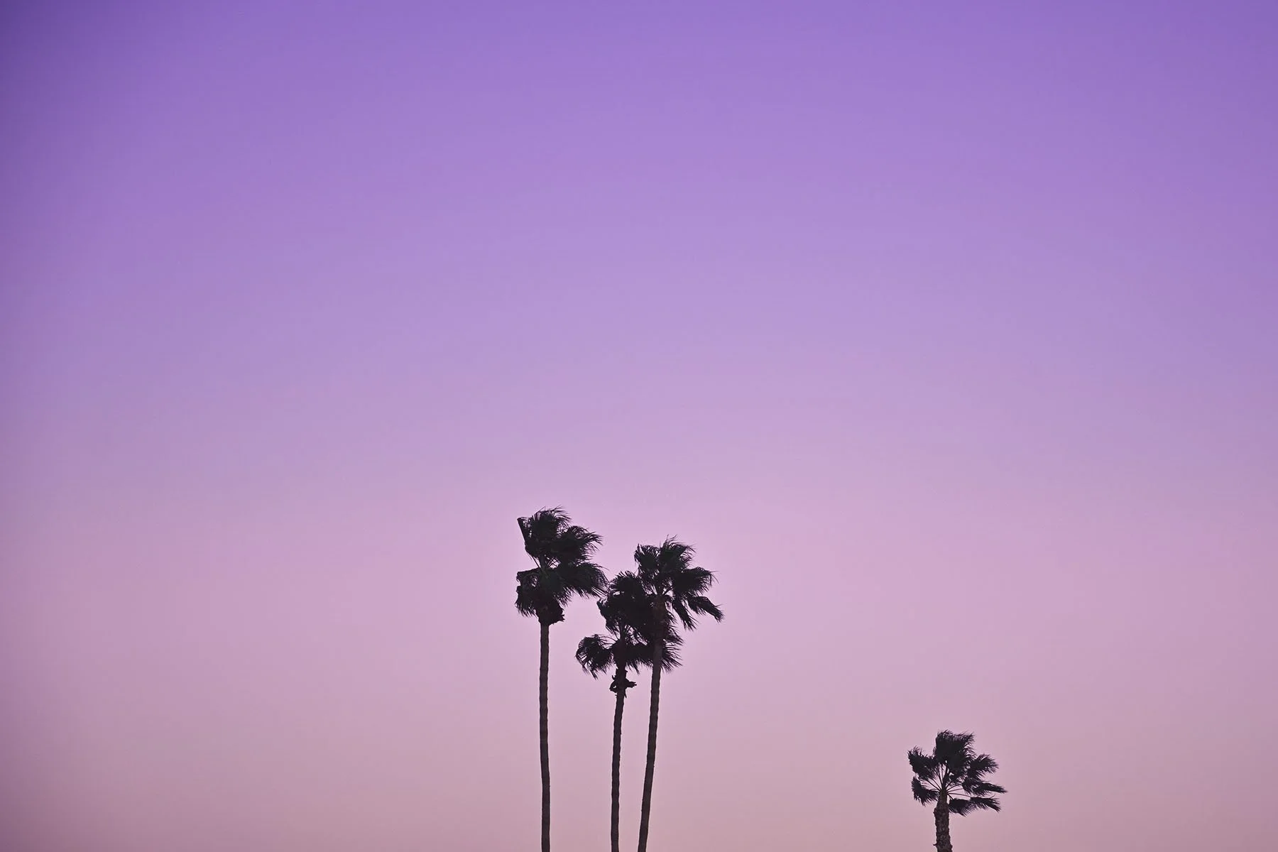 Pre Basel - new - pink purple copy-WEB.jpg