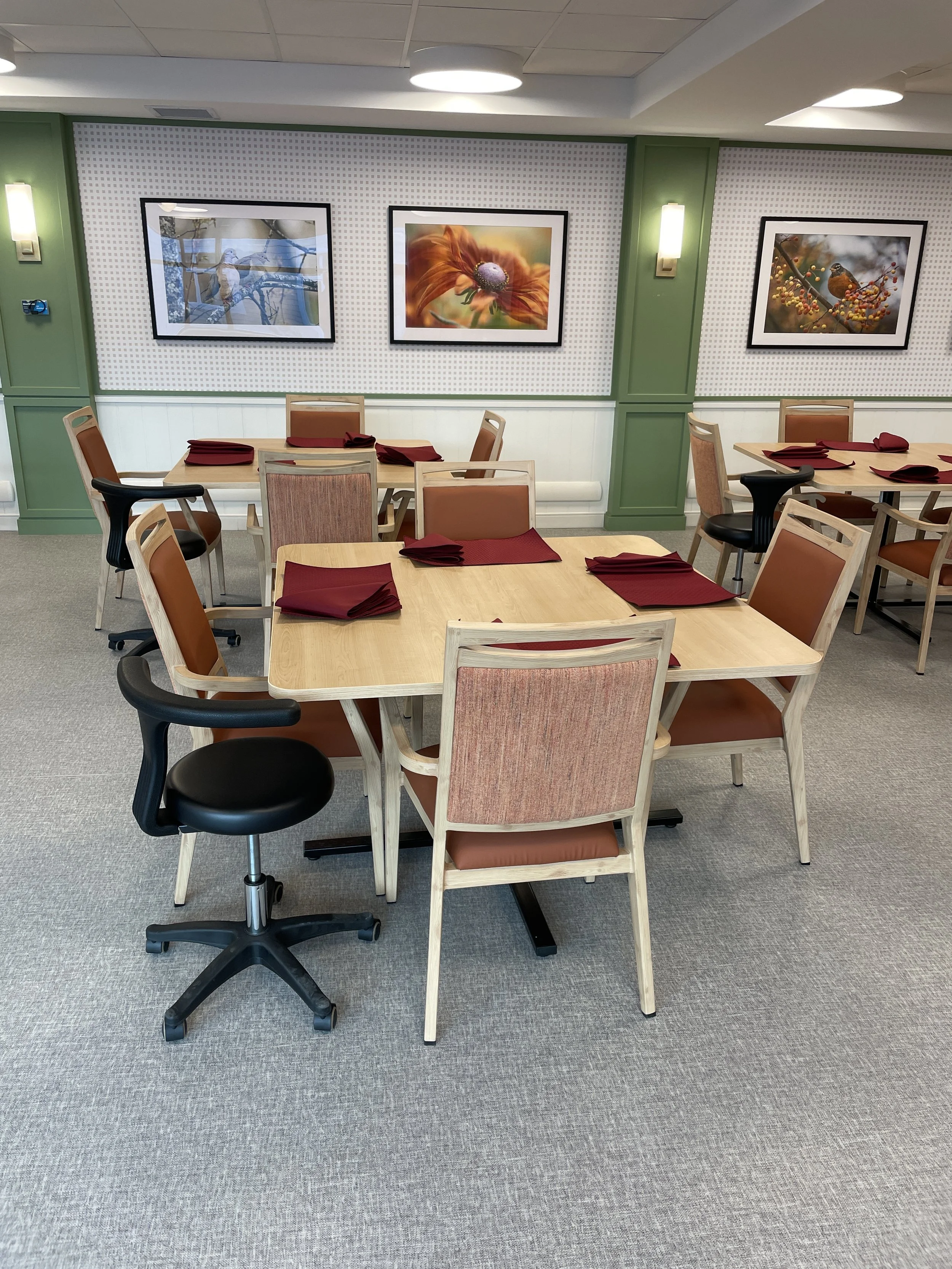 Simcoe Faux Wood Dining Chairs and MPTAD Stool