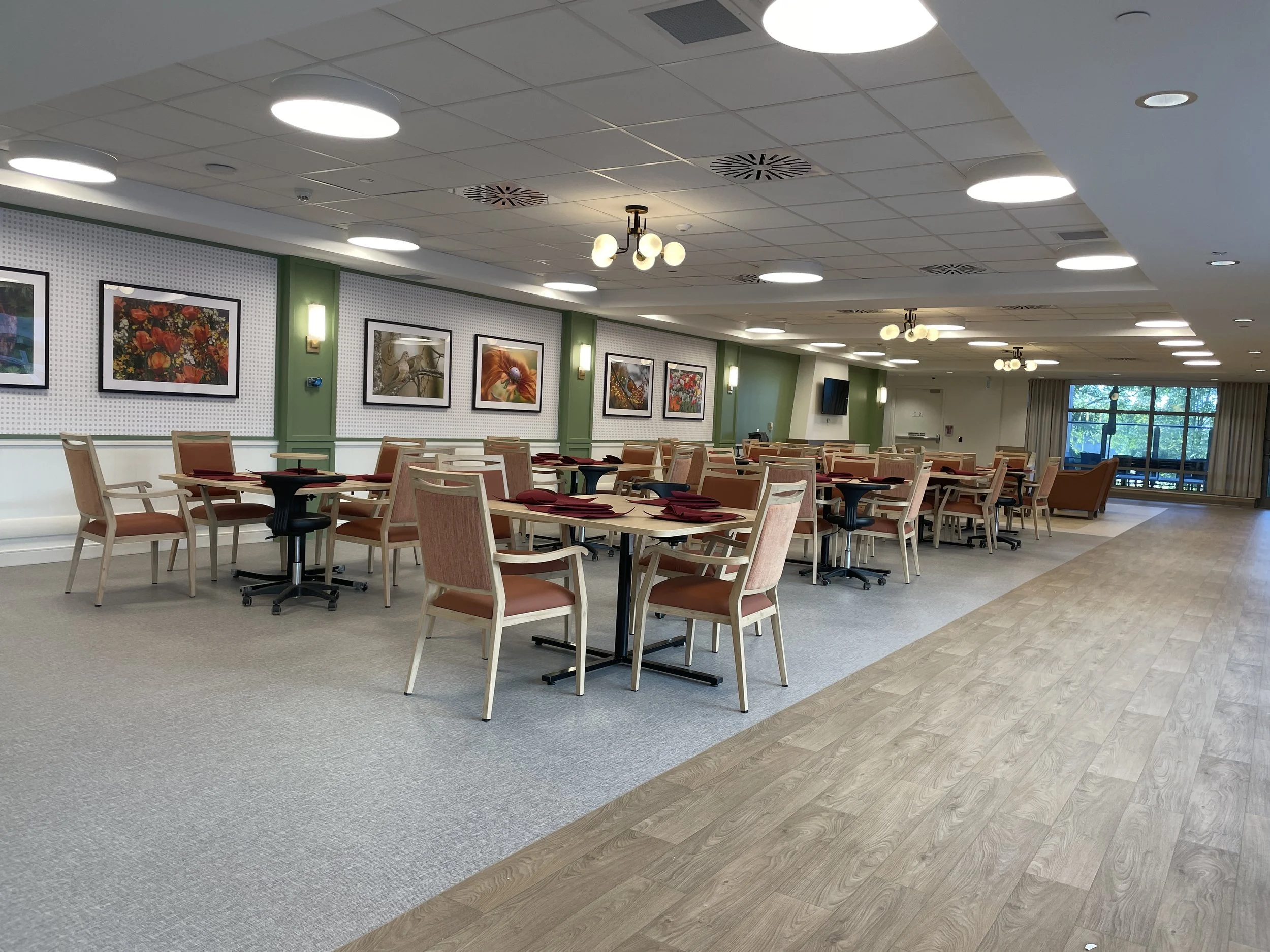 Simcoe Faux Wood Dining Chairs