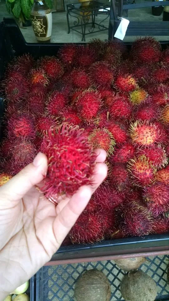 I couldn’t get enough of these!