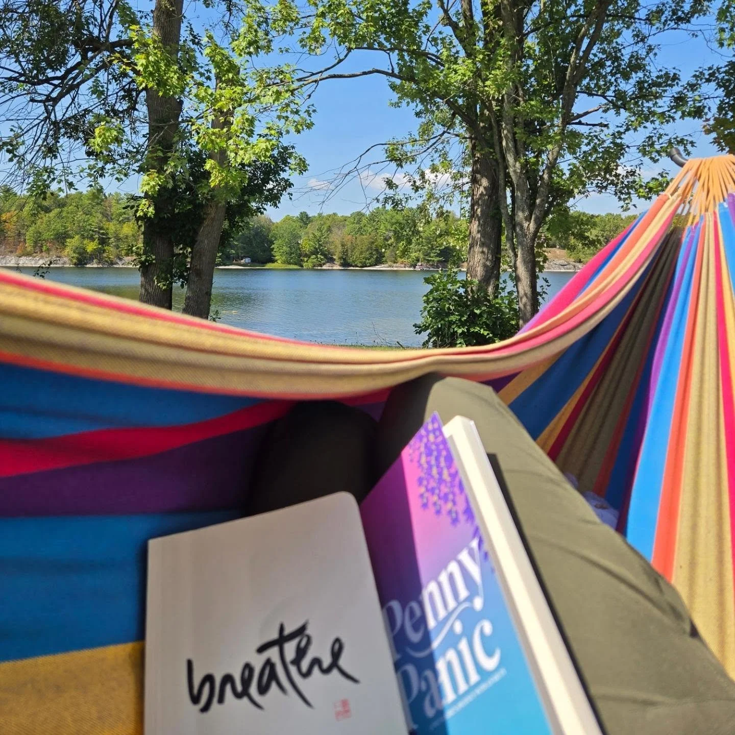 The next book in my Penny Panic series is going to be profound. There is so much anxiety with young kids and teens from social media, post covid, school shootings, bullying, regular teen drama on top of it all, discovering themselves as they grow int