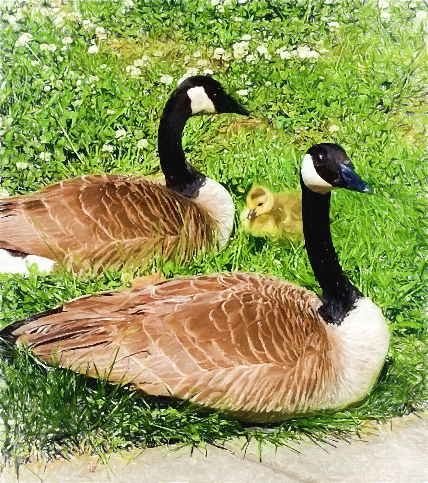 20170418_161622-Edit.jpg