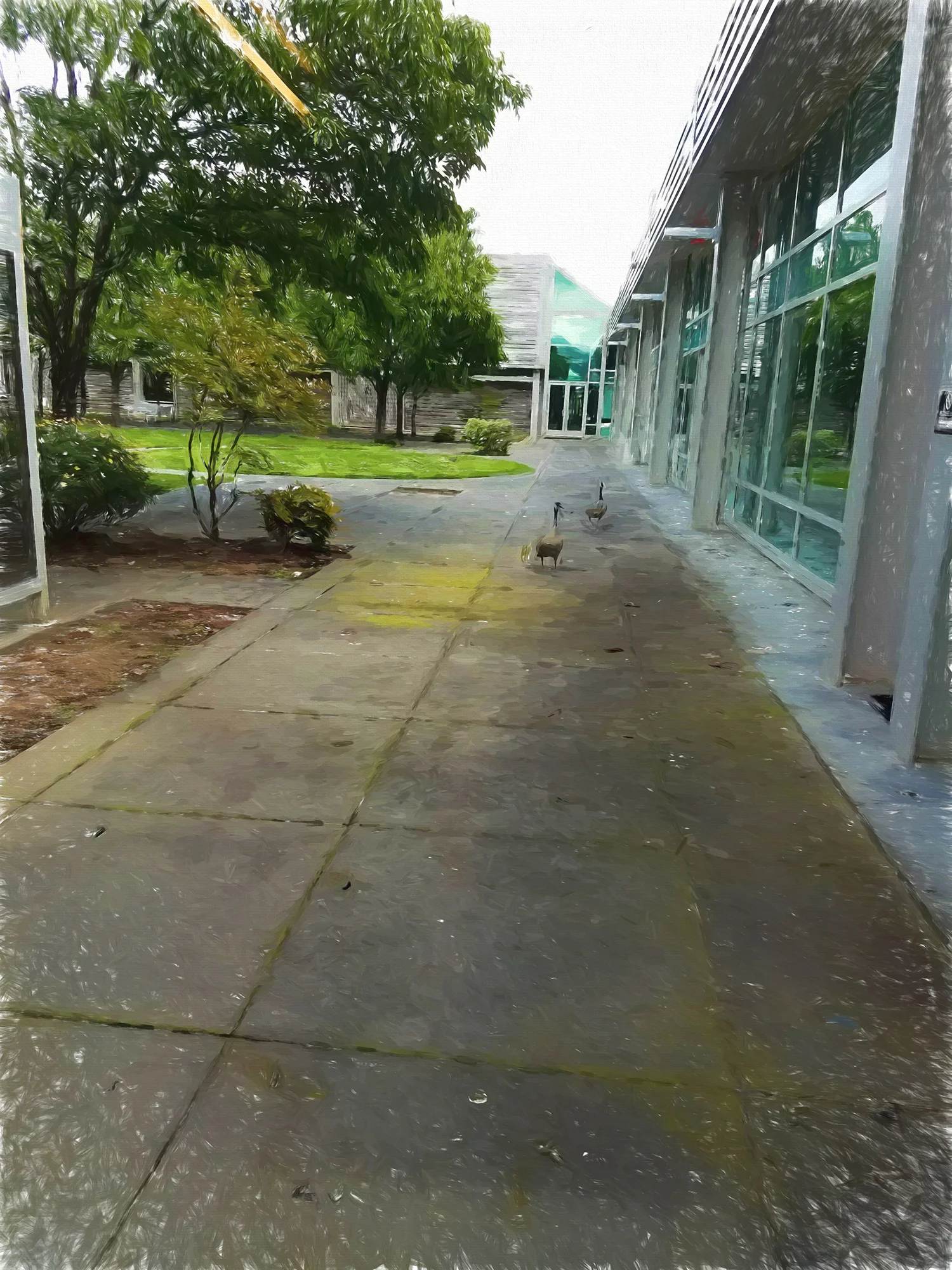 20170424_160137-Edit.jpg