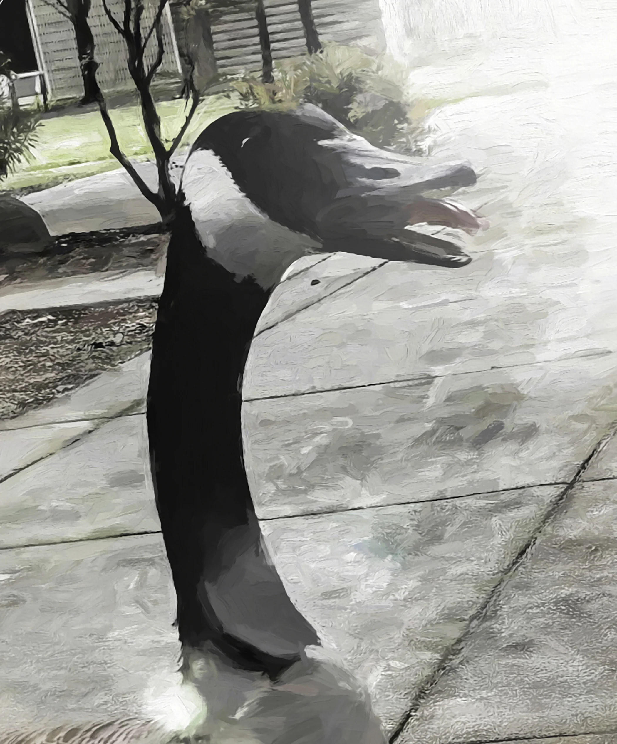 20170426_165334-Edit.jpg