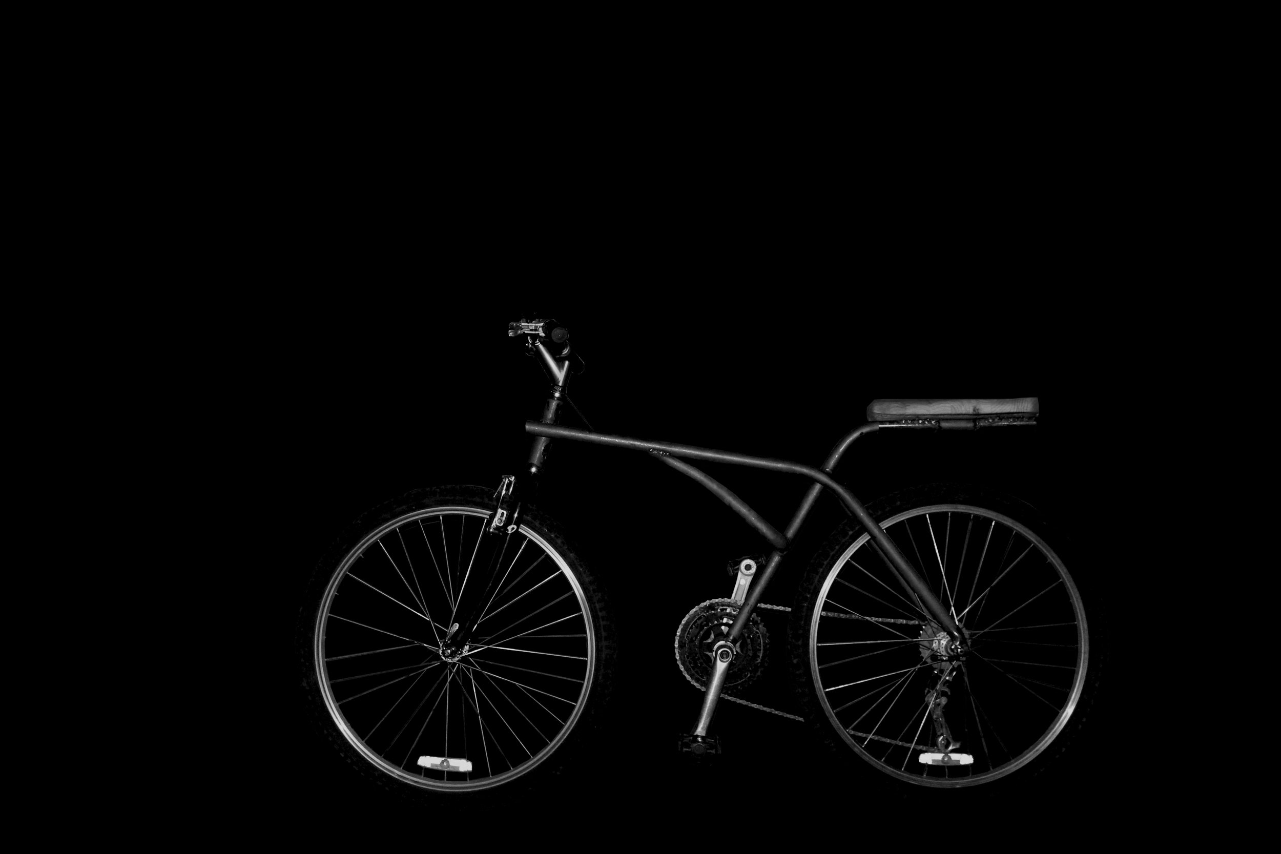 bike black portrait.jpg