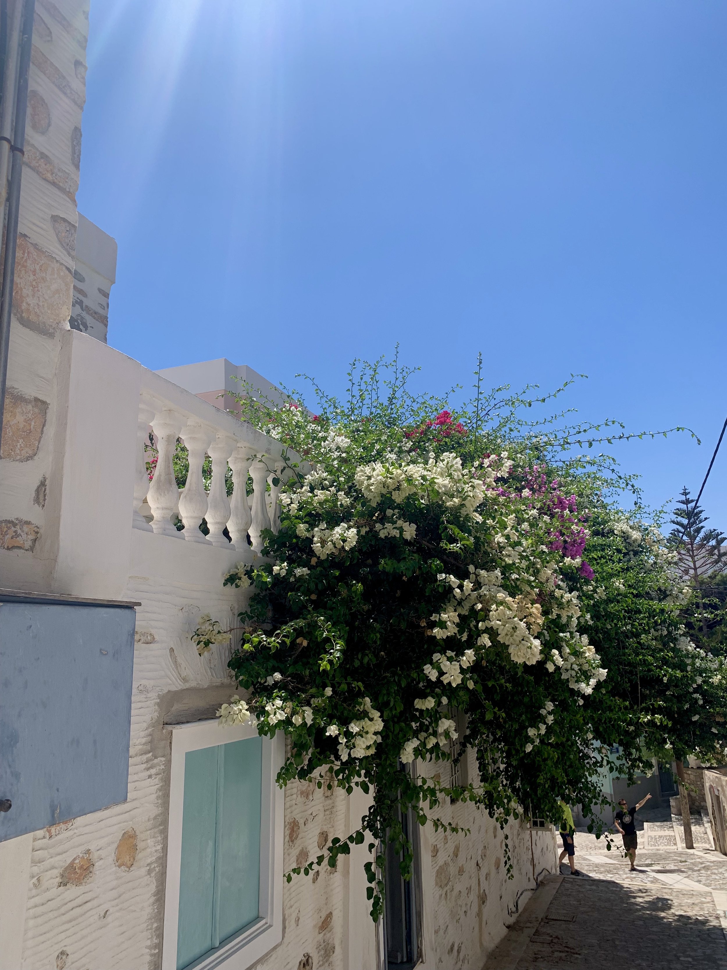 IMG_8946.jpeg