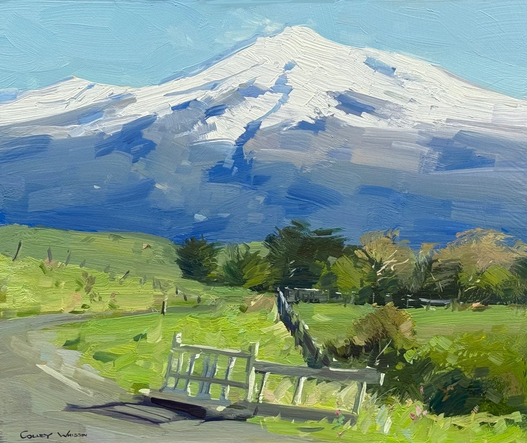 Mt Taranaki, New Zealand, 10&rsquo;&rsquo;x 12&rsquo;&rsquo;. TUCSON ART ACADEMY ONLINE

&ldquo;LOOSELY DEFINED: THE POWER IN PAINT&rdquo; 
WITH COLLEY WHISSON
365 DAY ACCESS WITH MENTORING

ENROLLMENTS OPENS: NOV 4, 2025 @ 8PM Pacific /11PM Eastern
