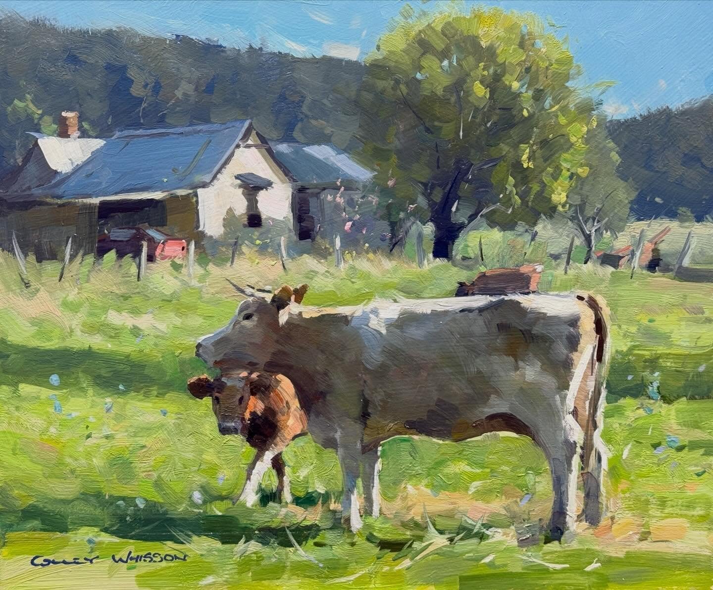 2026 Online Course | Patreon Subscription

Accelerate your learning with monthly tutorials and Podcasts released directly to your inbox.

Paint with Confidence: Become a Patron Today!

For more information, please go to my Website www.colleywhisson.c