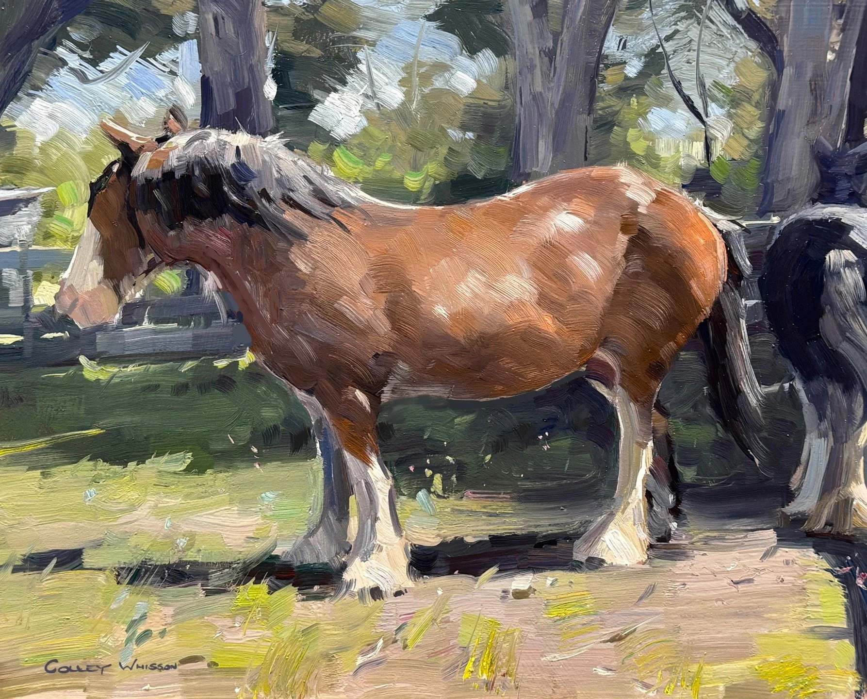 HURRY, only a few spots left! 2026 Australian Workshops 

REGISTER today! 

Queanbeyan Art Society (Canberra, ACT)
Workshop: Monday 11th &ndash; Tuesday 12th May (2 x days)
https://events.humanitix.com/colley-whisson-workshop-interiors-and-seascape-2